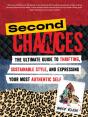 Second Chances - Preview