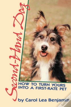 Capa do artigo Second-Hand Dog