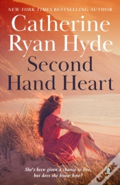 Capa do artigo Second Hand Heart
