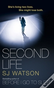 Capa do artigo Second Life