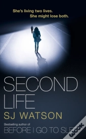 Capa do artigo Second Life