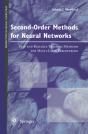 Second-Order Methods For Neural Networks - Preview