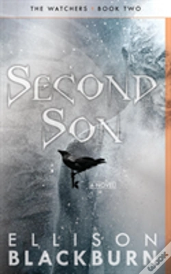 Capa do artigo Second Son