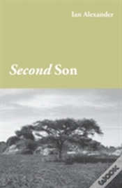 Capa do artigo Second Son