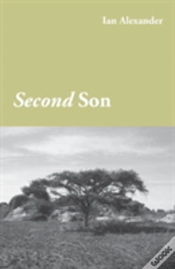 Capa do artigo Second Son