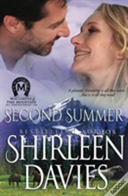 Capa do artigo Second Summer