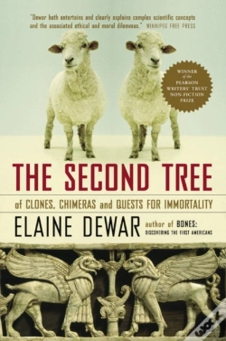Capa do artigo Second Tree