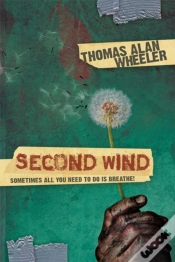 Capa do artigo Second Wind