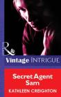 Secret Agent Sam - Preview