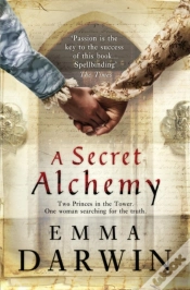 Capa do artigo Secret Alchemy