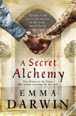 Capa do artigo Secret Alchemy