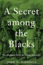 Secret Among The Blacks - Preview