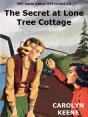 Secret At Lone Tree Cottage - Preview