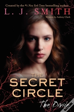 Capa do artigo Secret Circle: The Divide