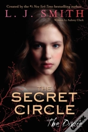 Capa do artigo Secret Circle: The Divide