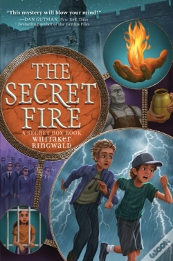 Capa do artigo Secret Fire