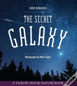 Capa do artigo Secret Galaxy