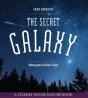 Secret Galaxy - Preview