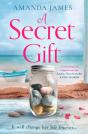 Secret Gift - Preview