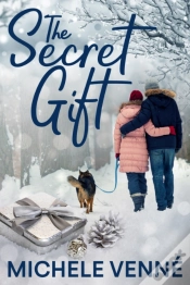 Capa do artigo Secret Gift