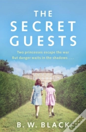 Capa do artigo Secret Guests