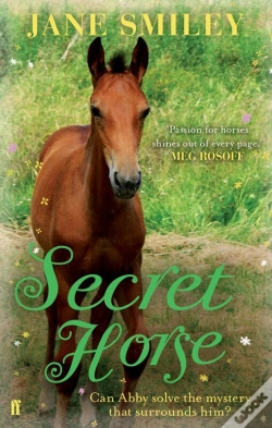 Capa do artigo Secret Horse