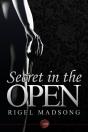 Secret In The Open - Preview