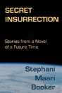 Secret Insurrection - Preview