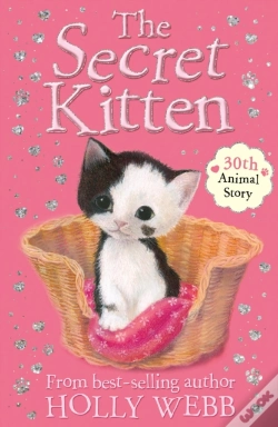 Capa do artigo Secret Kitten