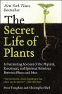 Secret Life Of Plants - Preview