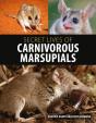 Secret Lives Of Carnivorous Marsupials - Preview