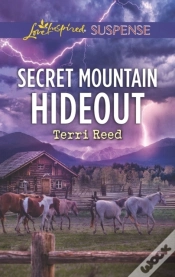 Capa do artigo Secret Mountain Hideout