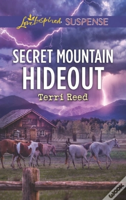Capa do artigo Secret Mountain Hideout