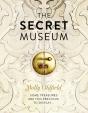 Secret Museum - Preview