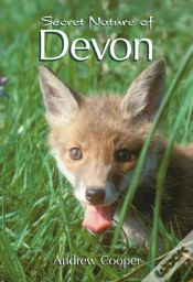 Capa do artigo Secret Nature Of Devon