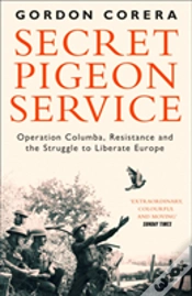 Capa do artigo Secret Pigeon Service