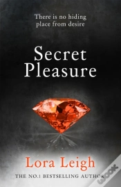 Capa do artigo Secret Pleasure