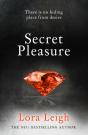 Secret Pleasure - Preview