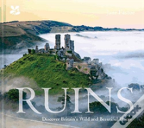 Secret Ruins