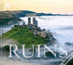 Capa do artigo Secret Ruins