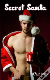 Capa do artigo Secret Santa