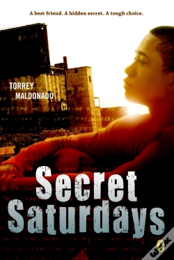 Capa do artigo Secret Saturdays