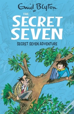 Capa do artigo Secret Seven Adventure