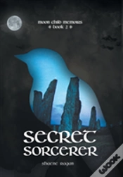 Capa do artigo Secret Sorcerer
