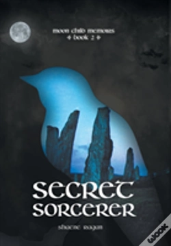 Capa do artigo Secret Sorcerer