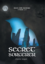 Secret Sorcerer - Preview