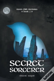 Capa do artigo Secret Sorcerer