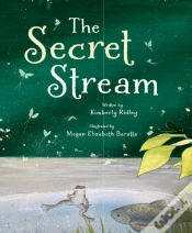 Capa do artigo Secret Stream