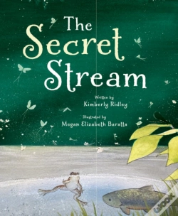 Capa do artigo Secret Stream