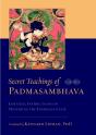 Secret Teachings Of Padmasambhava - Preview